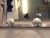 French Art Deco Aluminum Coat Rack with Mirror, 1940s For Sale - Image 6 of 12