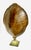 Monumental Natural Antique Turtle Carapace Shell Lamp For Sale - Image 12 of 15