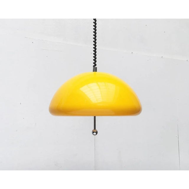 Space Age Cabras Pendant Lamp by Luigi Massoni for Guzzini For Sale - Image 18 of 18