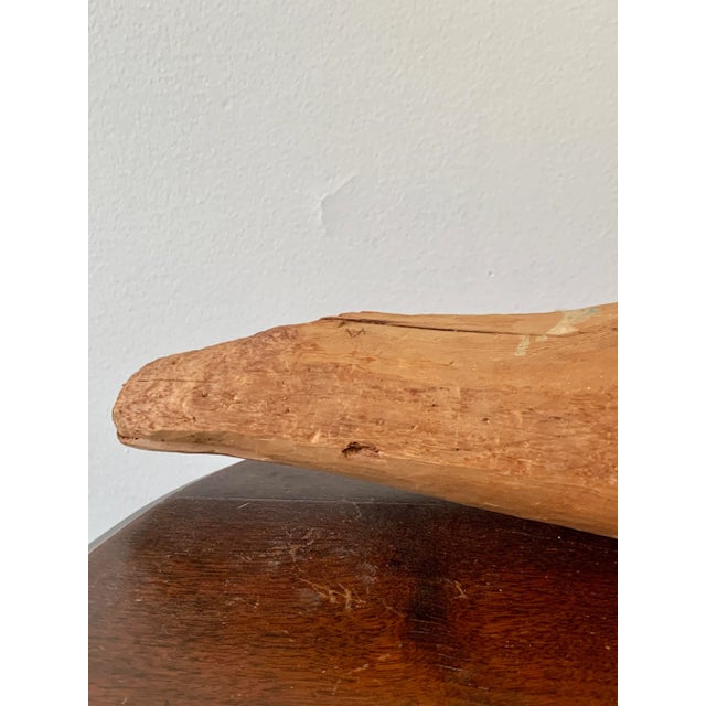 Early 20th Century Hand-Carved Driftwood Whale Sculpture for a Collected Coastal Interior For Sale - Image 5 of 11