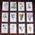 Antique 19th Century Edward Hulme Botanical "Garden Flowers" Lithographs - Set of 12 - Super Price! For Sale - Image 9 of 9