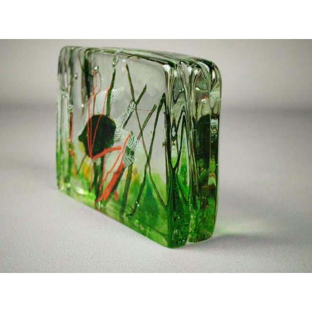Vintage Aquarium in Murano Glass by Alfredo Barbini for Cenedese, 1960s For Sale - Image 4 of 9