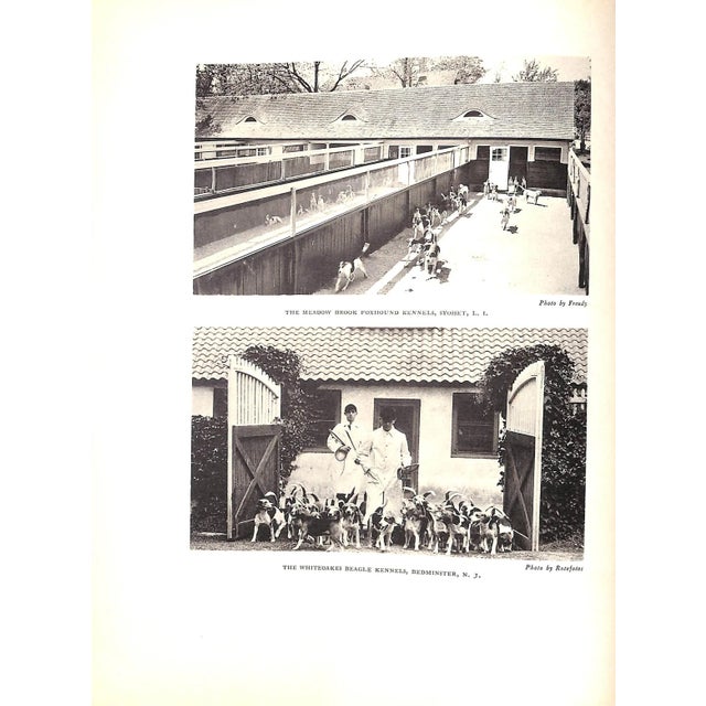 "Sporting Stables & Kennels" Book 1935 Gambrill, Richard v.n. And Mackkenzie James C. For Sale - Image 12 of 12