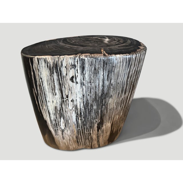 Contemporary Andrianna Shamaris Ancient Petrified Wood Side Table For Sale - Image 3 of 6