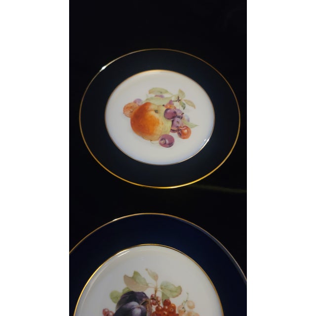 1970s 1970s Bountiful Collection by Shumann: Bavaria Salad / Fruit Plate Set (6) Vintage Replacements For Sale - Image 5 of 11