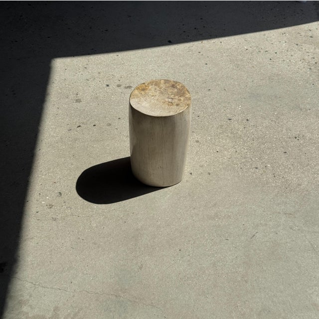 White petrified wood stool/side table inlaid with black. Petrified wood is a fossilized wood (same family as magnolia)...