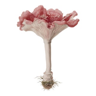 6" X 9" 'Blushing Rosette' or 'Abortiporus Biennis' Mushroom - Original Botanical Herbarium Watercolor & Pencil - Fine Art Print For Sale