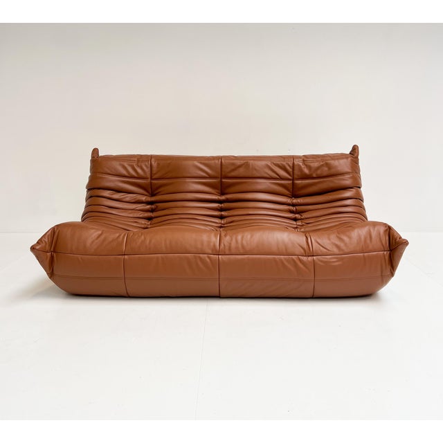 Mid-Century Modern Togo Three-Seater Sofa by Michel Ducaroy for Ligne Roset, 2010s For Sale - Image 3 of 16