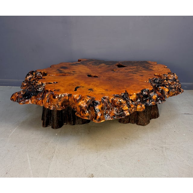 Mid-Century Modern Vintage 1970s California Redwood Burl Live Edge Coffee Table on Redwood Stump Base For Sale - Image 3 of 15