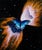 Butterfly Nebula by Patrick Nevins | Oil on Board Painting of a butterfly in a cosmic setting For Sale