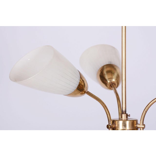 Mid-Century Modern Mid-Century Chandelier in Brass and Frosted Glass, Czech, 1950s For Sale - Image 3 of 12