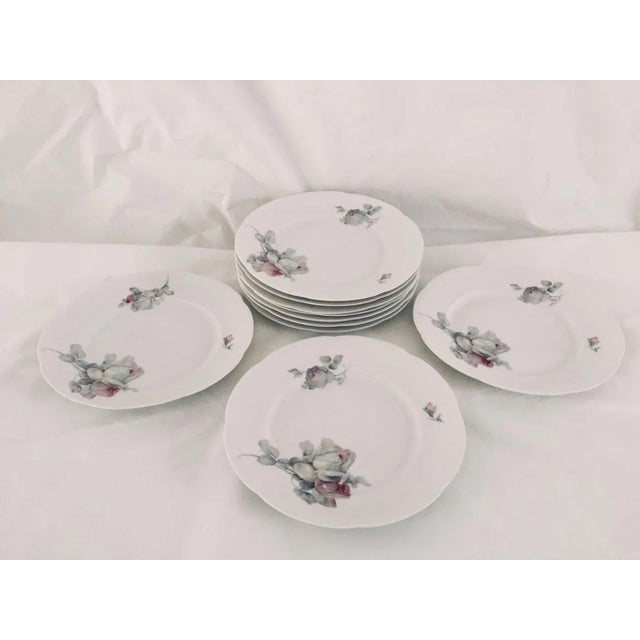 Vintage Cottage Style Gray Rose Pattern Dinner Plates - Set of 10 For Sale - Image 4 of 7