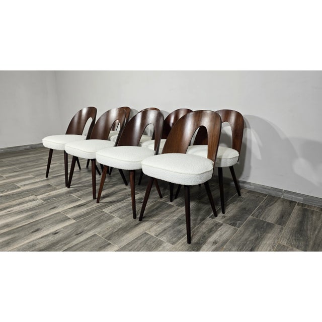 Dining Chairs by Antonin Suman, 1960s, Set of 8 For Sale - Image 10 of 11