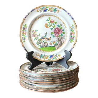 Vintage Boho Spode “Peacock” Dinner Plates - Set of 10 For Sale