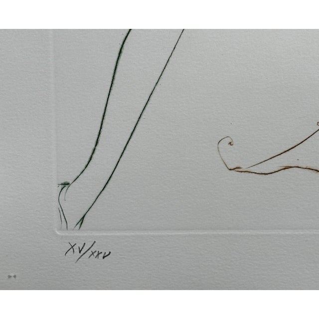 1970s Dali La Quete Du Graal the Pass of Gadalore Etching Hand Signed Numb Surreal Art For Sale - Image 4 of 4