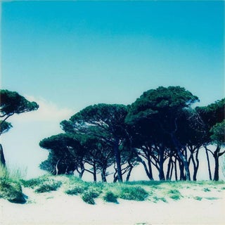 Elisabeth Montagnier, Landscape Beach photograph, mounted on aluminum. For Sale