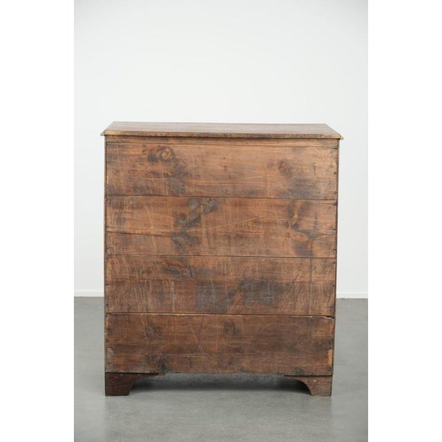 Large Antique English Blonde Oak Chest of Drawers with Gilt Elements, 18th Century For Sale - Image 5 of 14