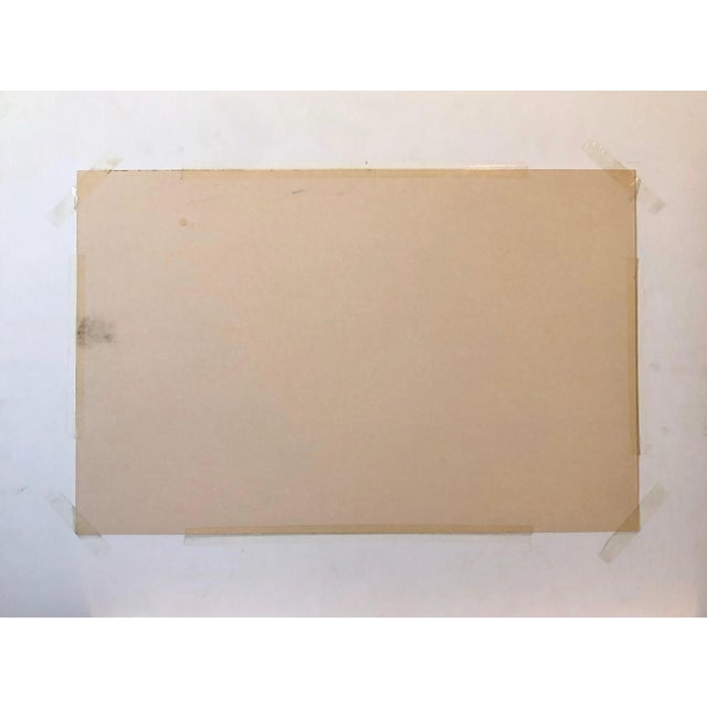 2002 German Contemporary Pastel Painting Radiant Landscape Field with Flowers Poppies by Kuno Vollet For Sale - Image 9 of 10