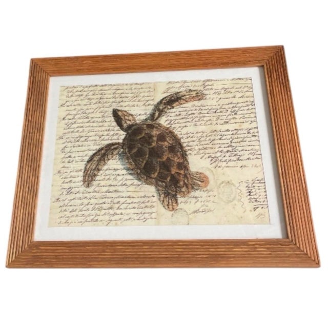 Bring a touch of classic coastal charm and natural history elegance to your home with this framed sea turtle art print....