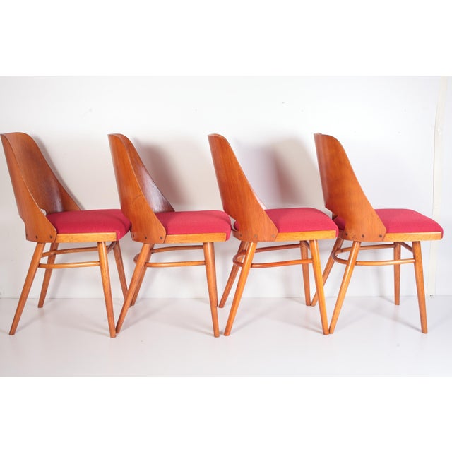 Oswald Haerdtl Mid-Century Dining Chairs by Oswald Heardtl for Ton, 1960s, Set of 4 For Sale - Image 4 of 10