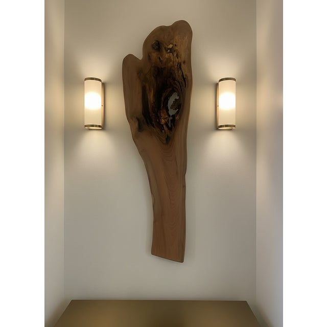 Contemporary One-of-a-Kind Sculptural Live Edge Wood Wall Art For Sale - Image 3 of 8