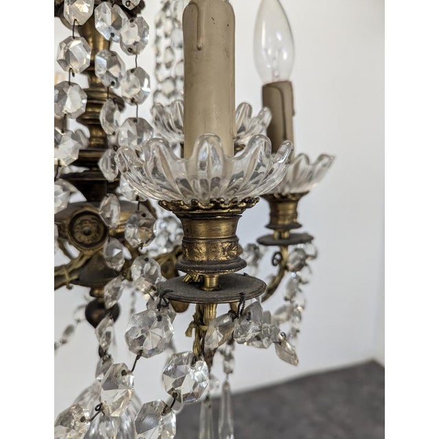 19th Century Crystal and Bronze Chandelier For Sale - Image 9 of 12