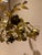 1950s 1950s Tole Italian Chandelier From Florence in Brass For Sale - Image 5 of 6