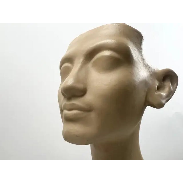 Beige Louvre Museum Reproduction Classical Male Bust, French Plaster Sculpture on Wood 1990's For Sale - Image 8 of 17