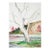 Joseph Yeager "Hillside Trees" Realism Landscape Watercolor on PaperCirca 1940s-1950s For Sale