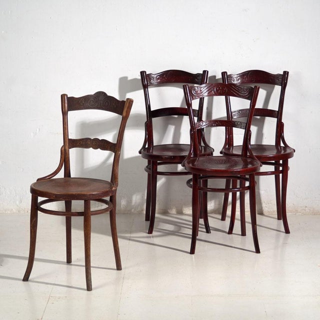 Antique Bentwood Chairs, Central Europe, 1900s, Set of 4 For Sale - Image 14 of 14