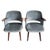 Vintage FT30 Chairs from Pastoe, 1960s, Set of 2 For Sale - Image 5 of 15
