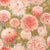 Harlequin Dahlia Wallpaper in Coral/Fig Leaf/Gilver - a Sample For Sale