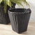 Kenneth Ludwig Chicago Alvero Baskets, Set Of 2 For Sale - Image 4 of 6