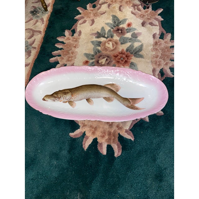 19th Century Antique Fish Platter ServeWare . Victorian Porcelain Fish Platter With a Hand-Painted Muskellunge, Circa 1891. 24.5” For Sale - Image 5 of 12