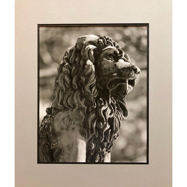 Vintage Judaic piece by Jewish American-Israeli artist. A figure of a lion found as a sculptural detail on a building in...