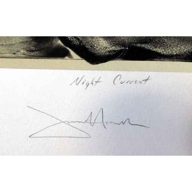 1986 "Night Current" Frank Howell Original Signed Lithograph For Sale - Image 4 of 5