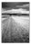 Paul Cooklin, Crop Field, Couziers, Edition of 50 For Sale