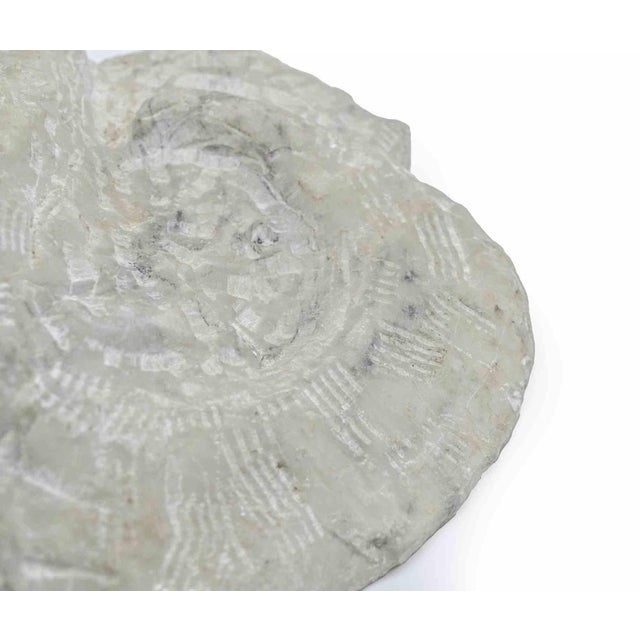 1960s Sirio Pellegrini, Aries Head Sculpture, 1960s, Stone For Sale - Image 5 of 6