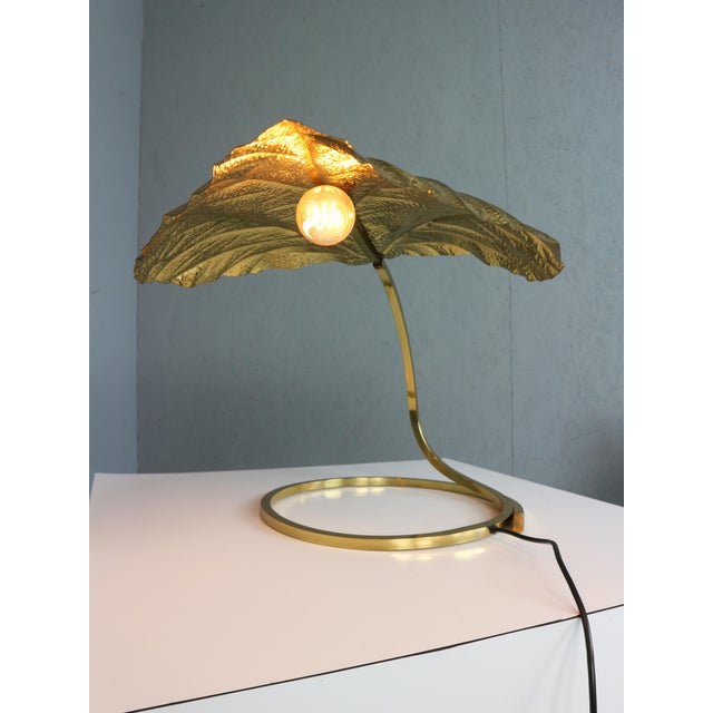 Rhubarb Table Lamp by Tommaso Barbi for Bottega Gadda, 1970 For Sale - Image 4 of 18