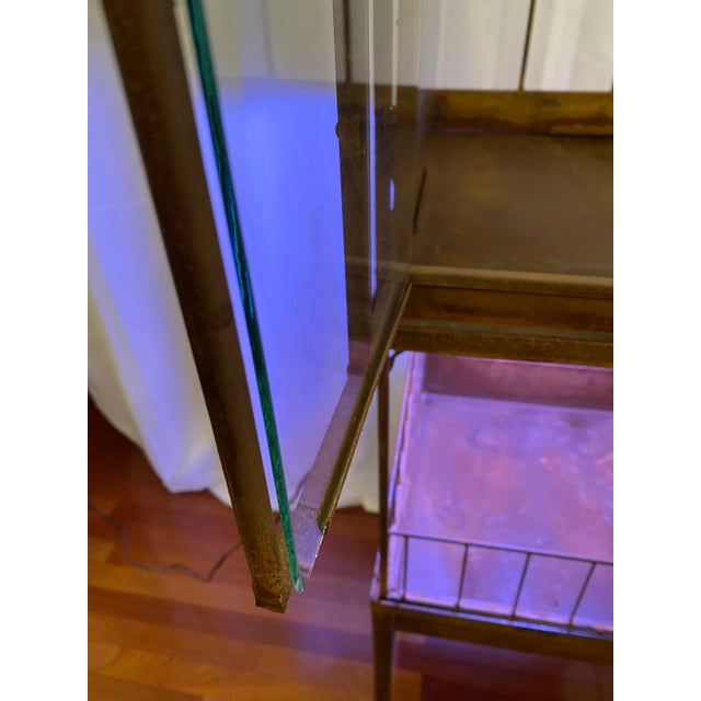 Antique Victorian Wrought Iron Wardian Terrarium Plant Case Stand For Sale - Image 11 of 13