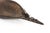 Antique Wooden Bowl, Papua New Guinea, Early 20th Century For Sale - Image 3 of 8