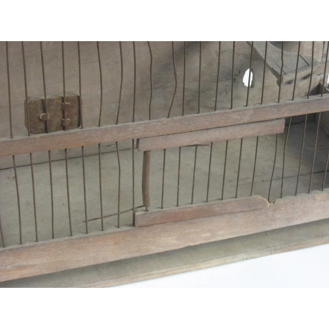 Antique Bird Cage Chairish