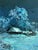 Oil Painting Winter Night Serdyuk Boris Petrovich For Sale - Image 9 of 11