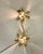 Brass Wall Lamp by Willy Daro for Massive, 1970s-1980s For Sale - Image 10 of 18