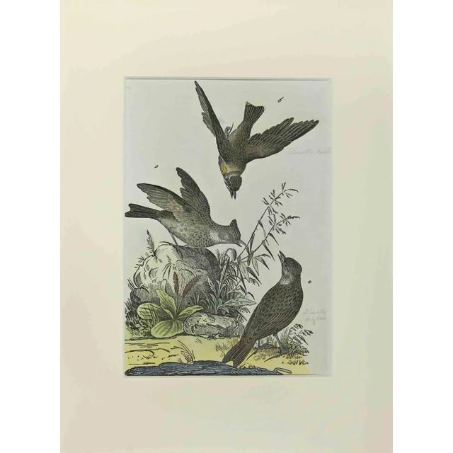 Johann Friedrich Naumann, Woodlark, Etching, 1840 For Sale