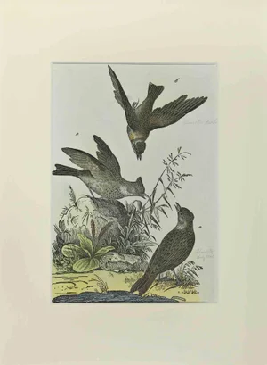 Johann Friedrich Naumann, Woodlark, Etching, 1840