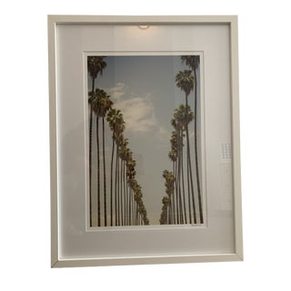 "29 Palms" Contemporary Color Photograph by Steve Wrubel, Framed For Sale