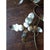 Mid-Century Brutalist Mixed Metal Orchid Wall Sculpture, Attributed to Curtis Jeré - 54" For Sale - Image 12 of 14
