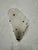 Plastic Wall Light from Maison Arlus, 1950s, Set of 2 For Sale - Image 7 of 12