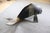 Monumental Brass or Bronze Fish or Koi Statue For Sale In Philadelphia - Image 6 of 8
